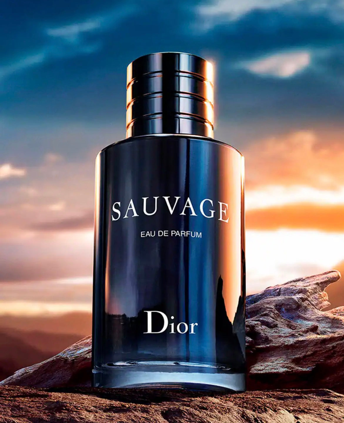 Christian Dior - Sauvage (Eau de Parfum) | 100 ML